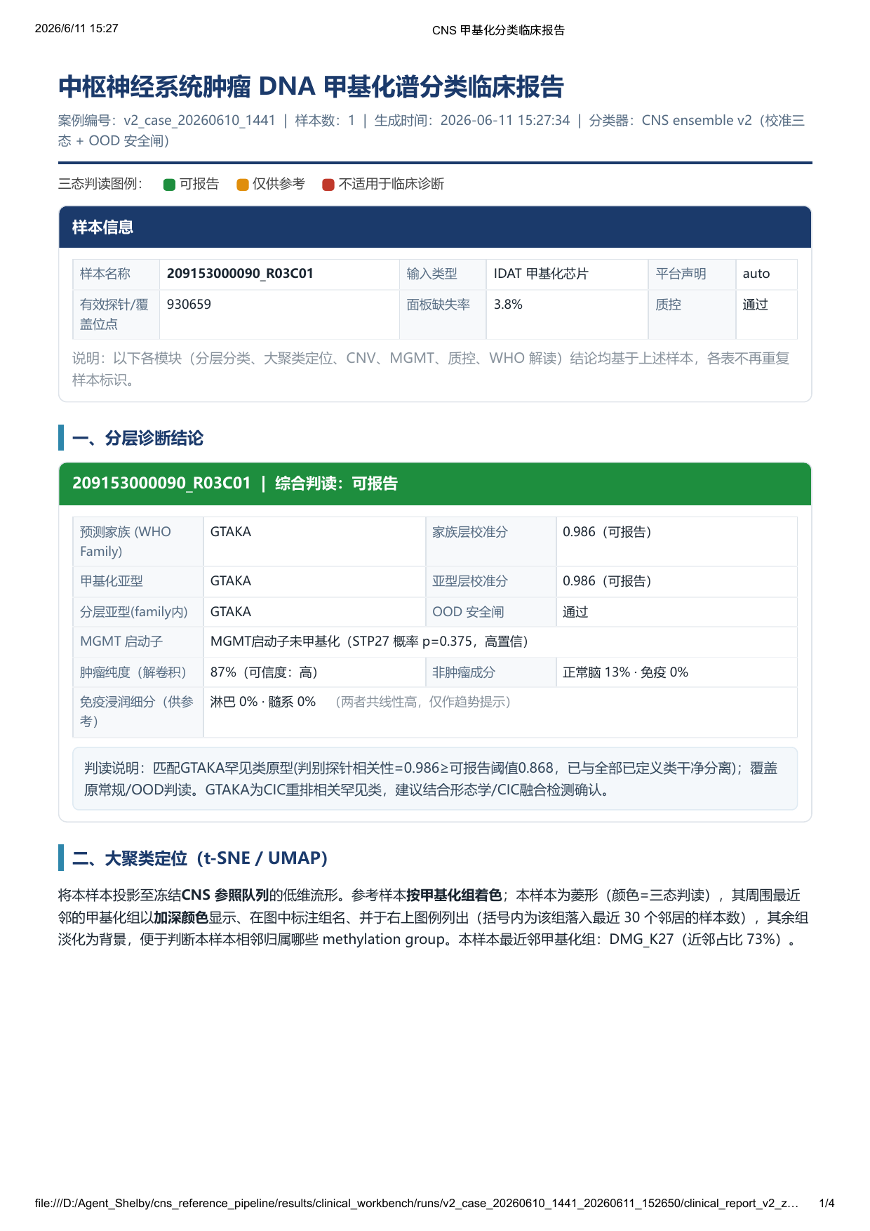 AICNS v2 报告示例