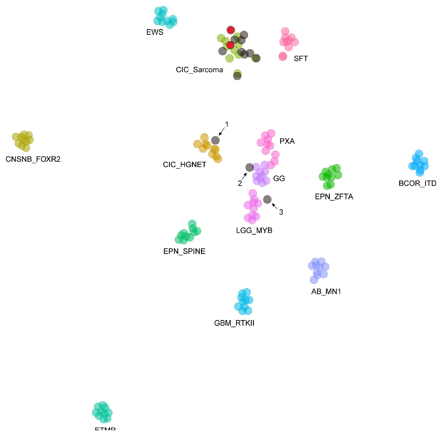 CIC 融合肿瘤 t-SNE 聚类
