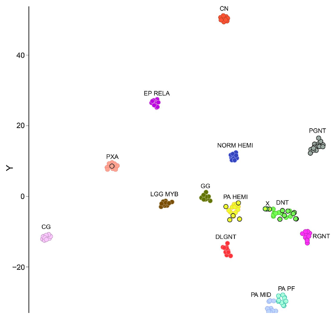 PGNT t-SNE 聚类
